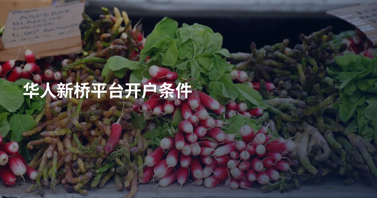 华人新桥平台开户条件