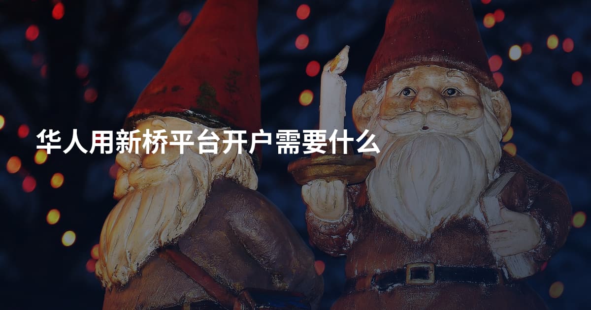 华人用新桥平台开户需要什么