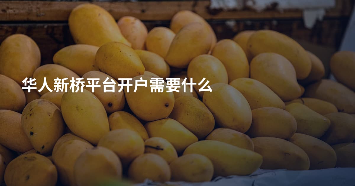 华人新桥平台开户需要什么