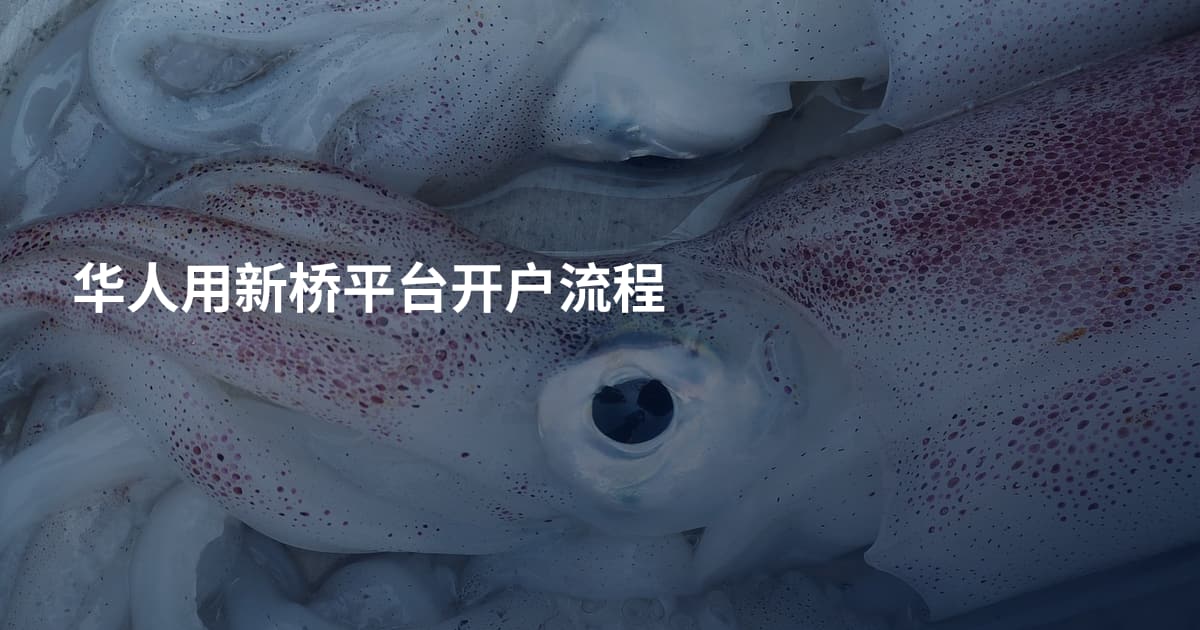 华人用新桥平台开户流程