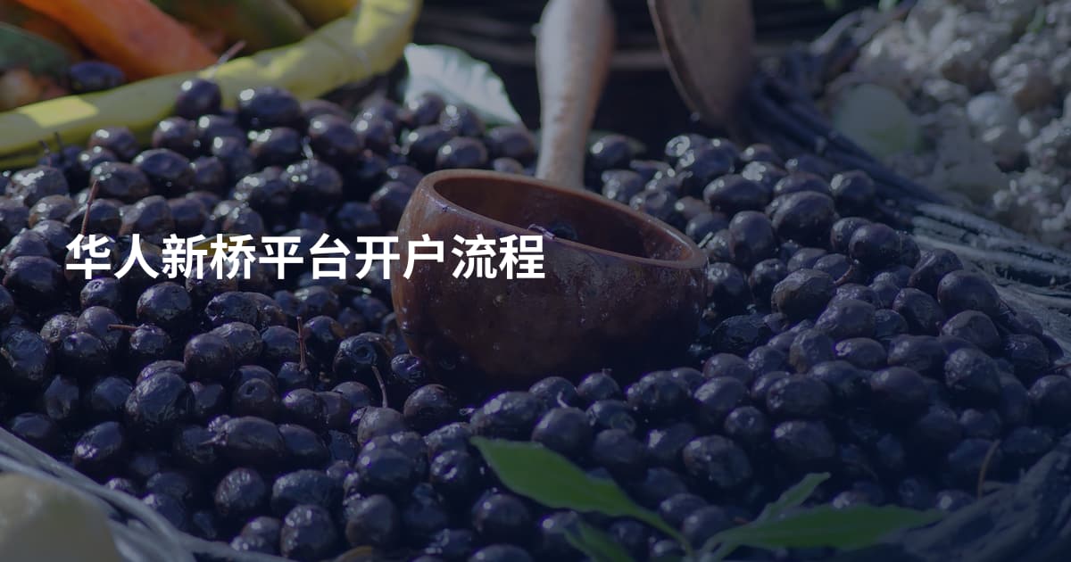 华人新桥平台开户流程