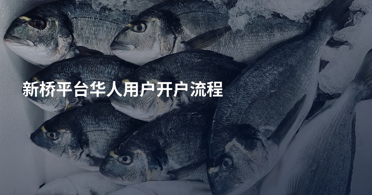 新桥平台华人用户开户流程