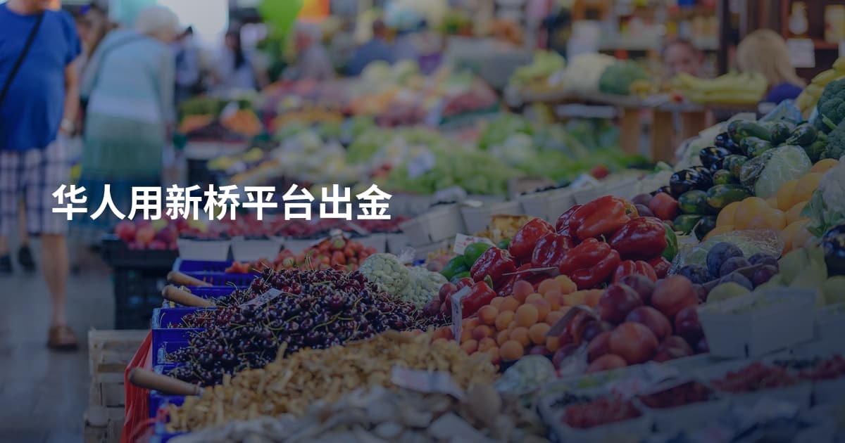 华人用新桥平台出金