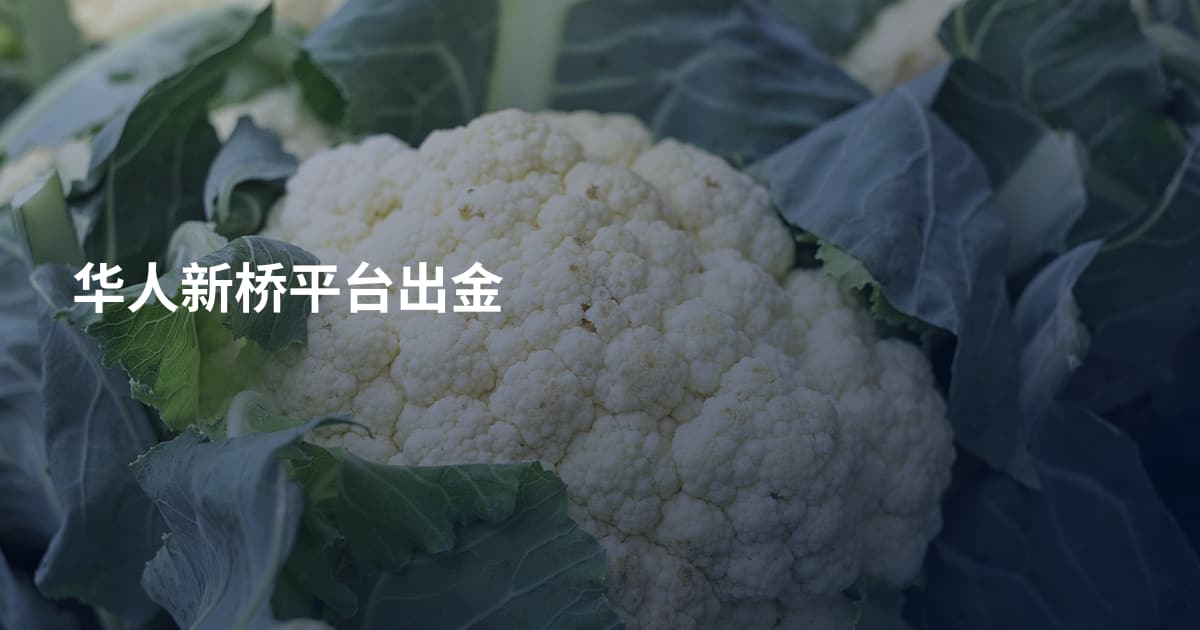 华人新桥平台出金