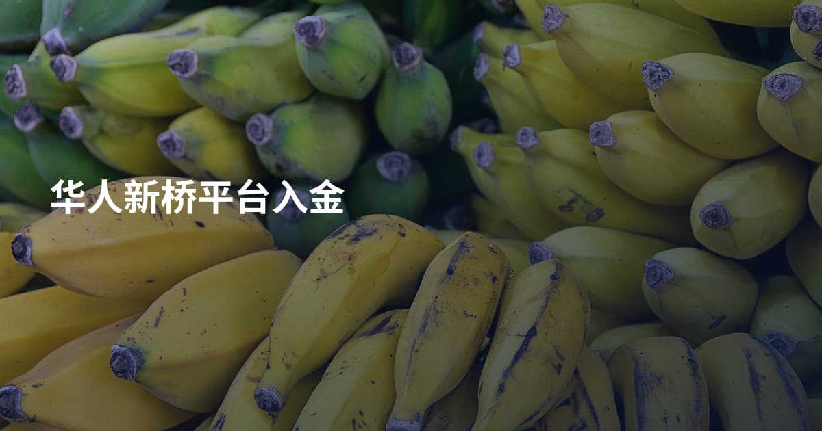 华人新桥平台入金