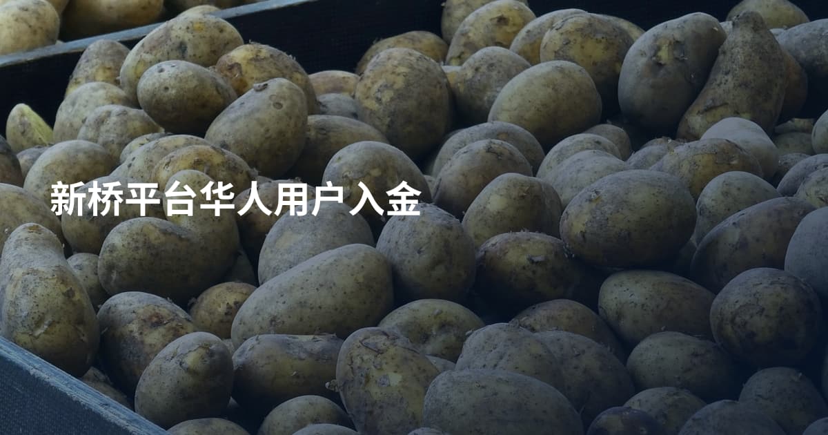新桥平台华人用户入金