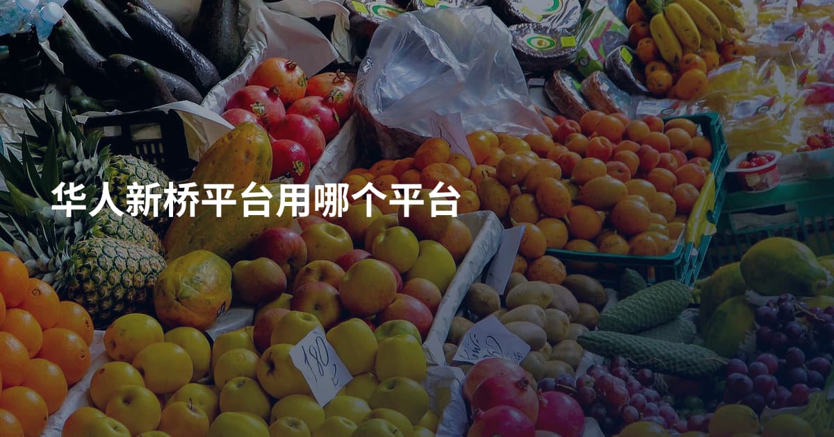 华人新桥平台用哪个平台