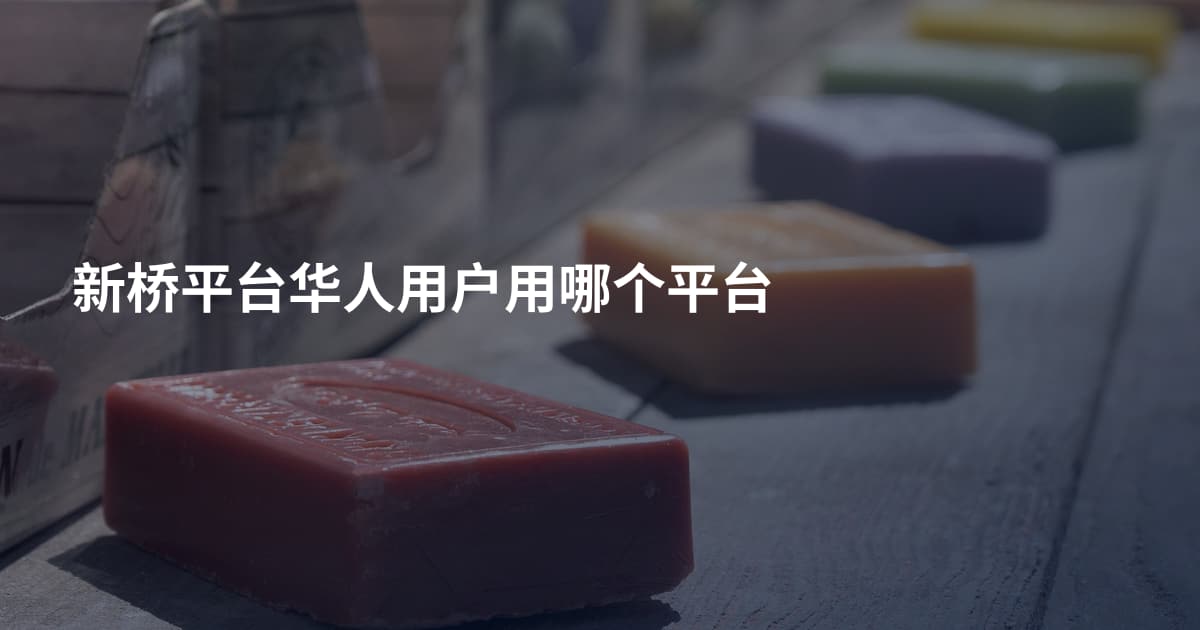 新桥平台华人用户用哪个平台