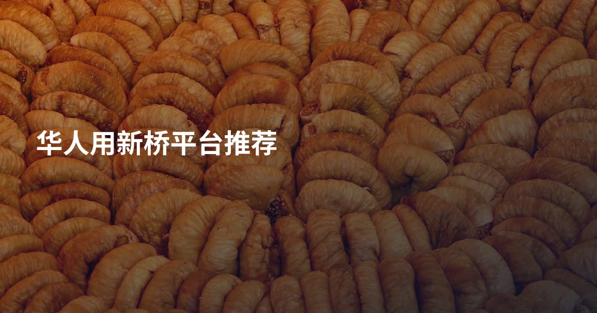 华人用新桥平台推荐