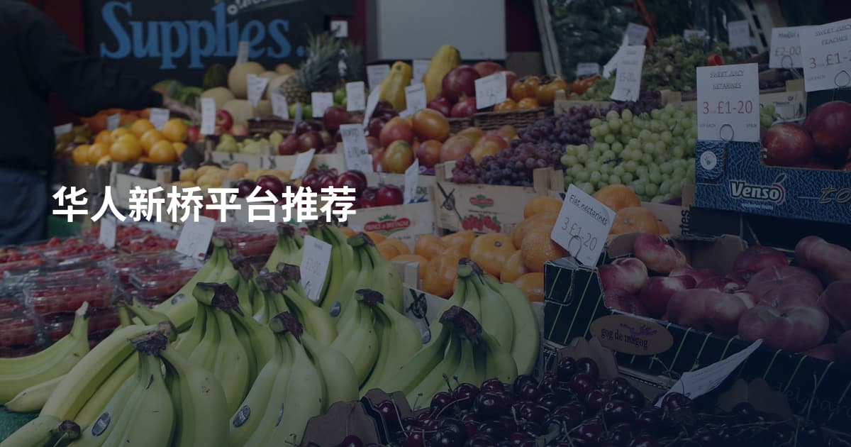 华人新桥平台推荐