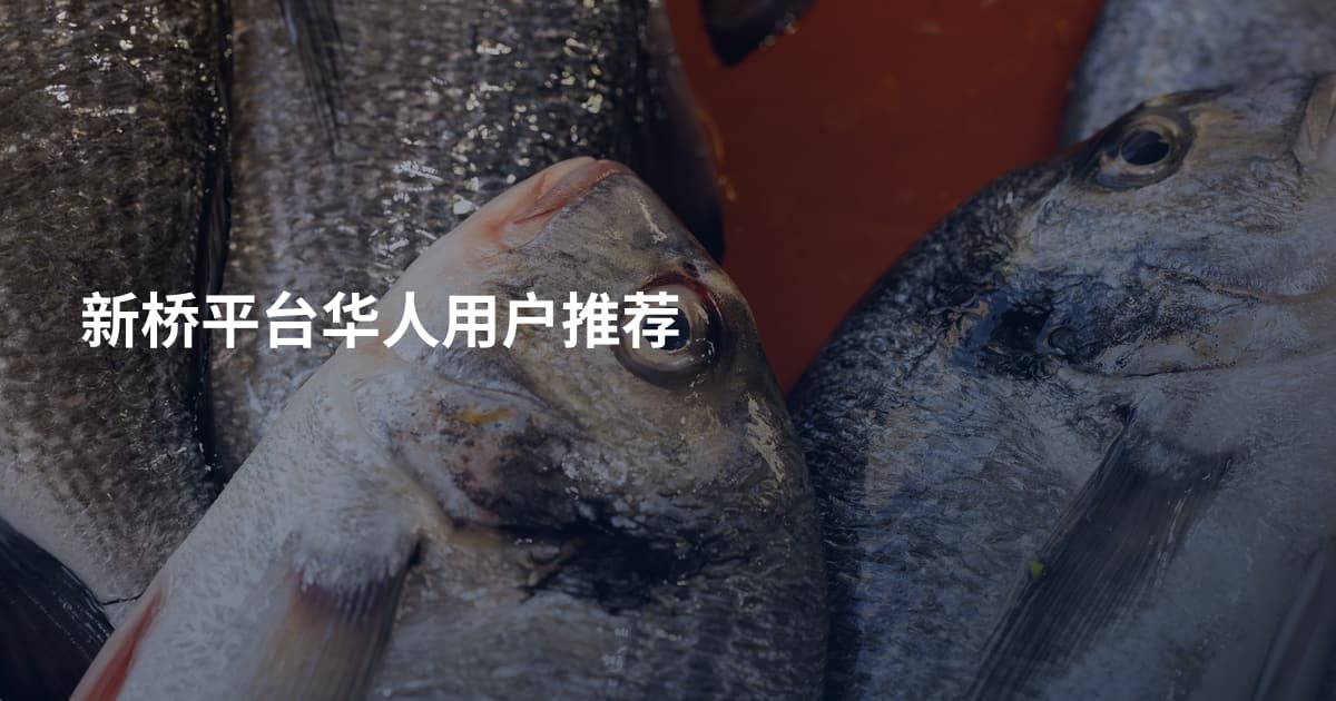 新桥平台华人用户推荐