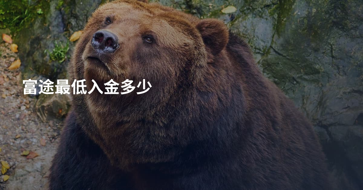 富途最低入金多少
