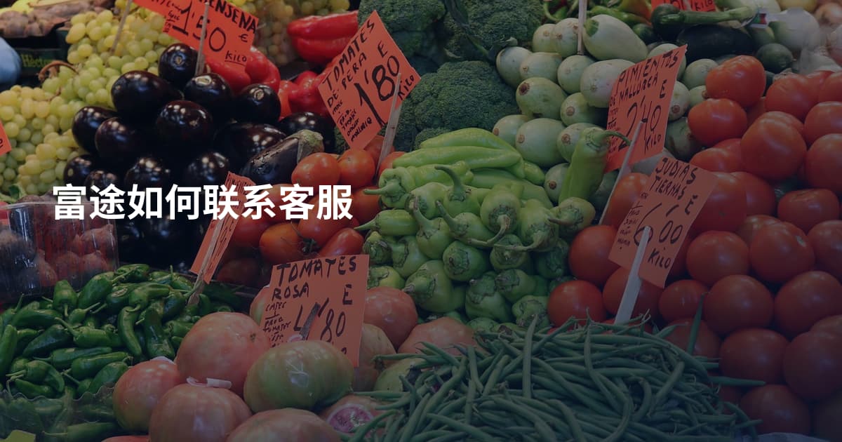 富途如何联系客服