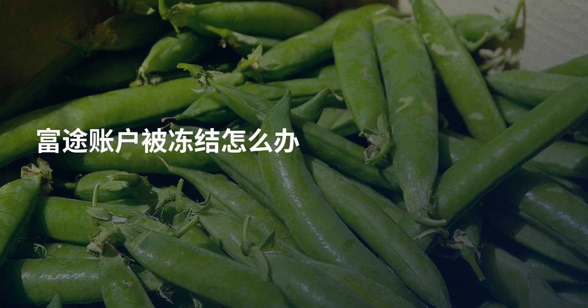 富途账户被冻结怎么办