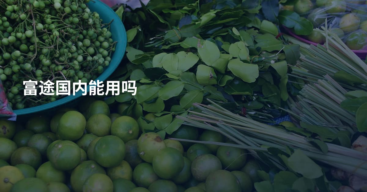 富途国内能用吗