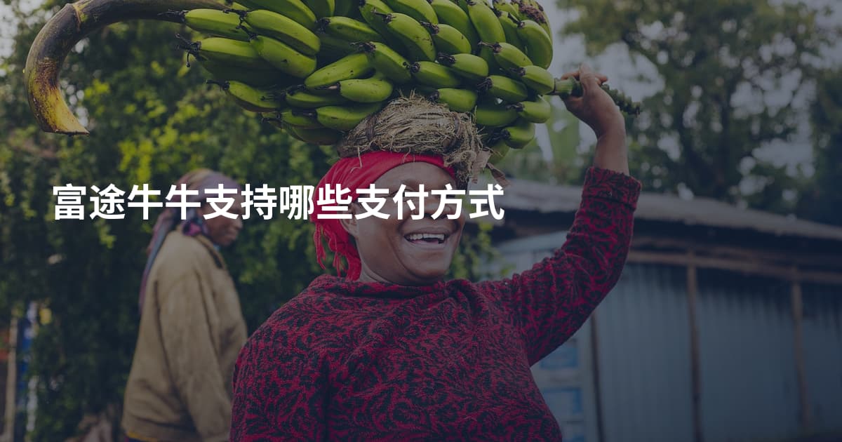 富途牛牛支持哪些支付方式