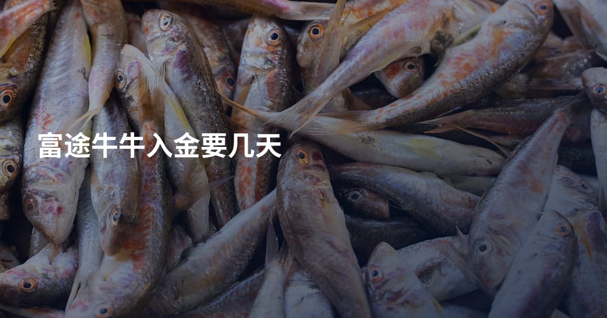 富途牛牛入金要几天