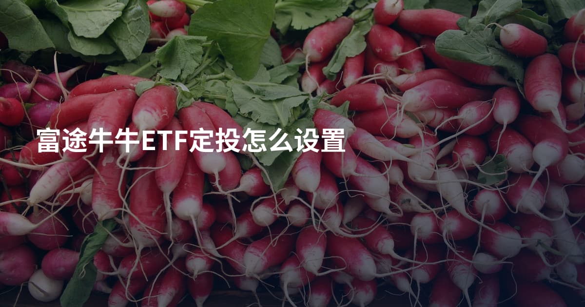 富途牛牛ETF定投怎么设置