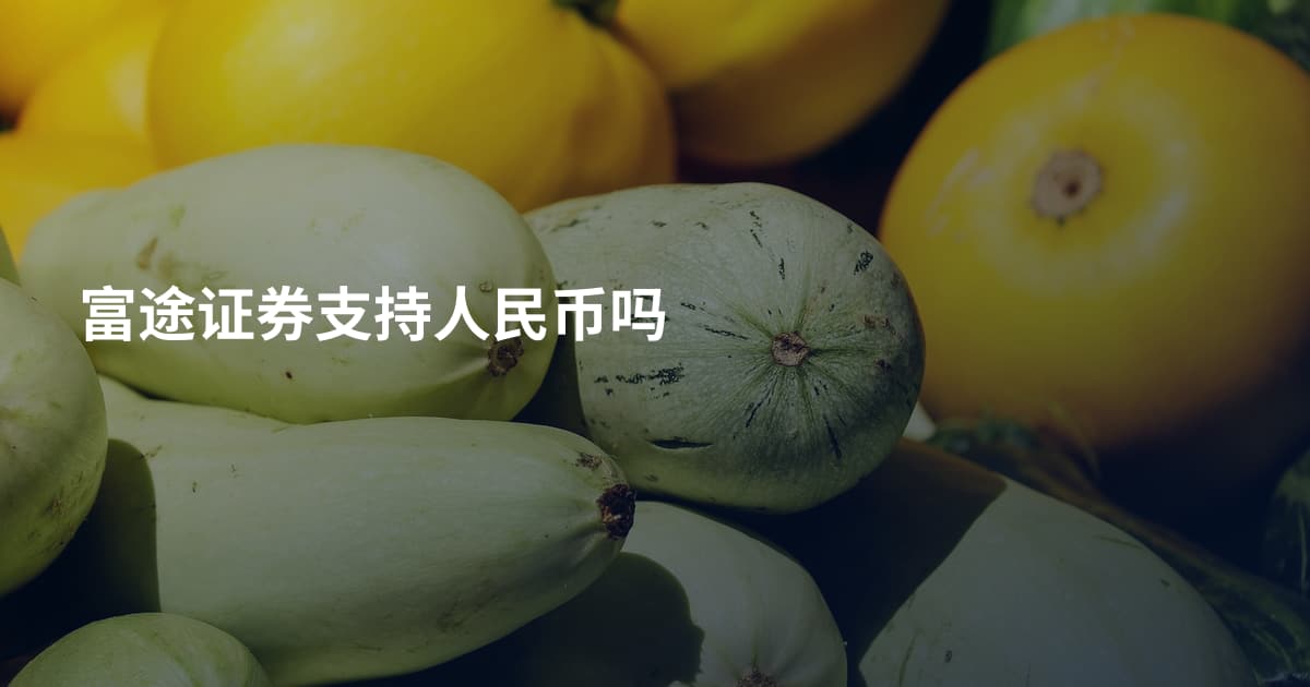富途证券支持人民币吗