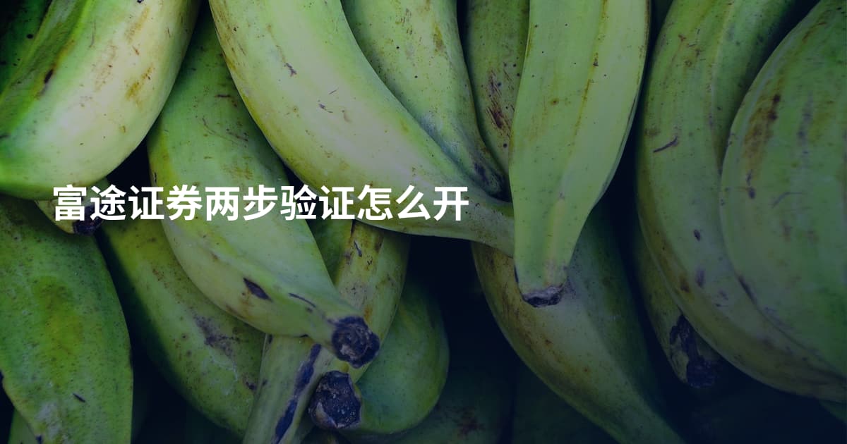 富途证券两步验证怎么开