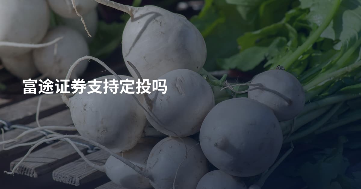 富途证券支持定投吗