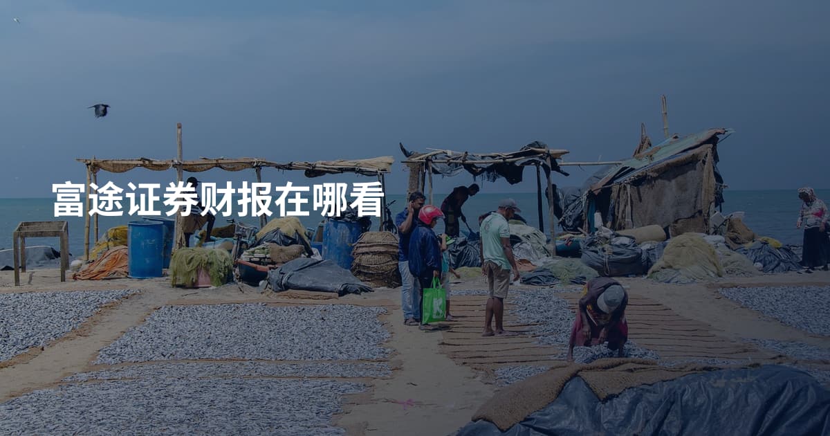 富途证券财报在哪看