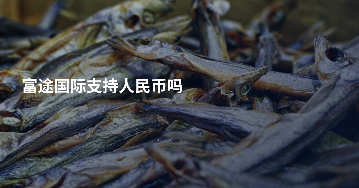 富途国际支持人民币吗