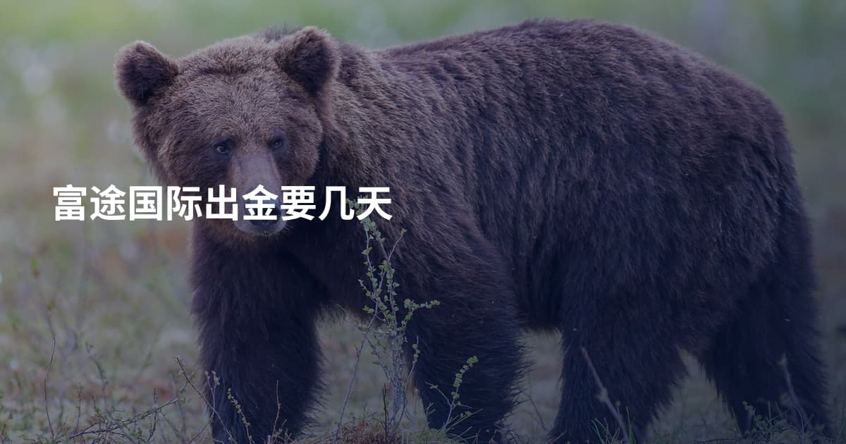 富途国际出金要几天
