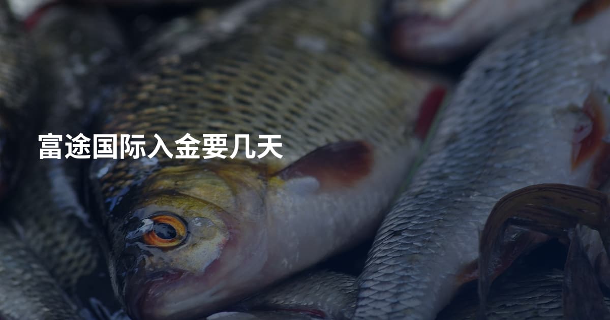 富途国际入金要几天