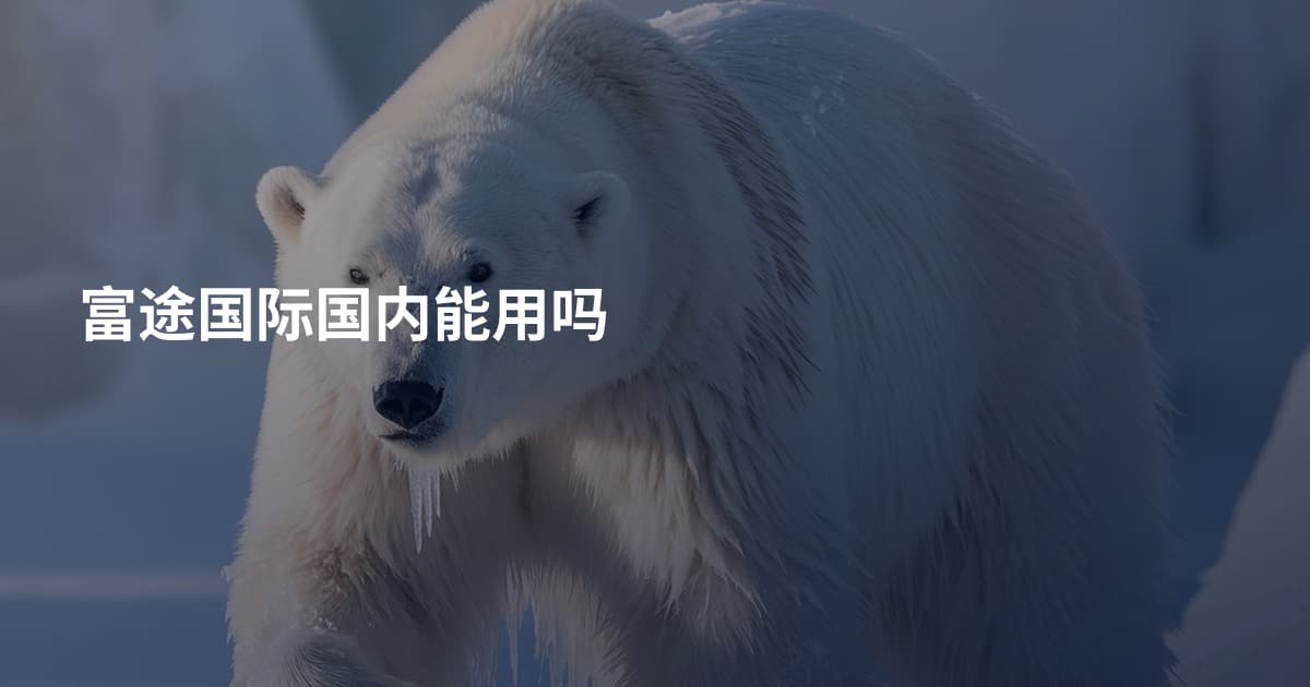 富途国际国内能用吗