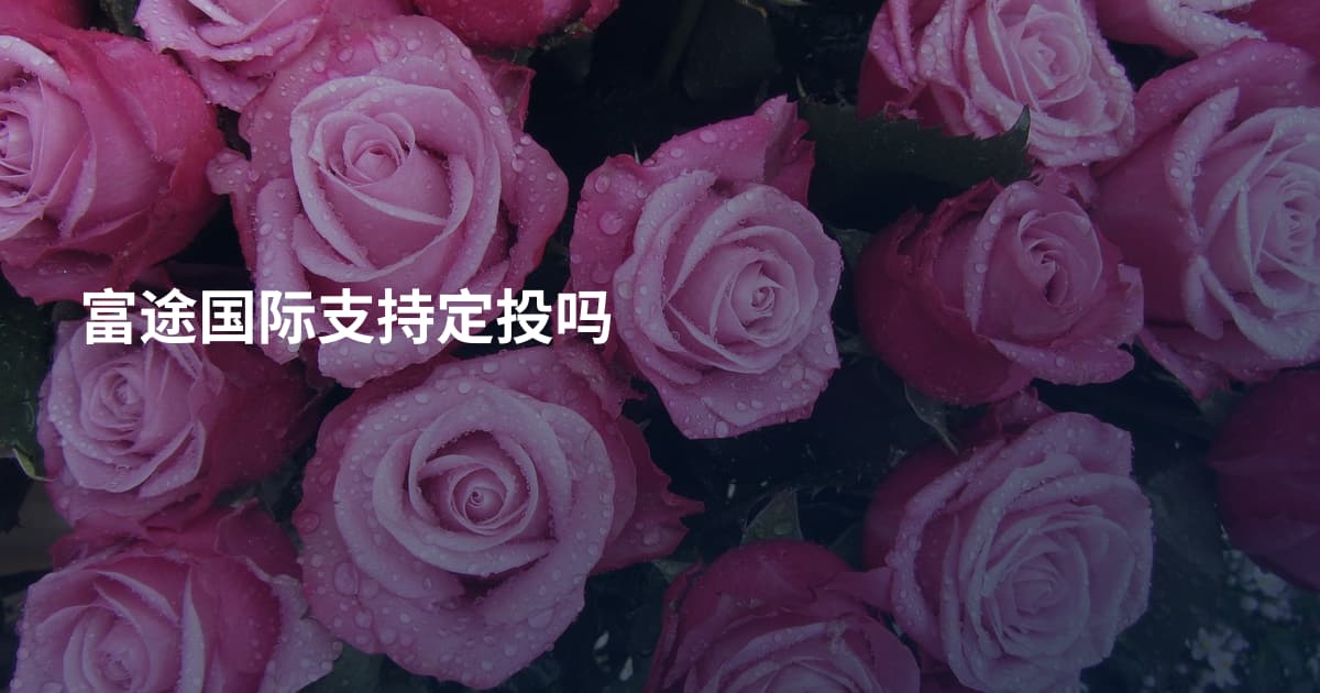 富途国际支持定投吗