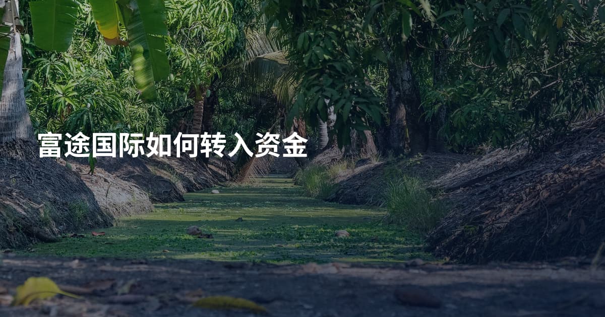 富途国际如何转入资金