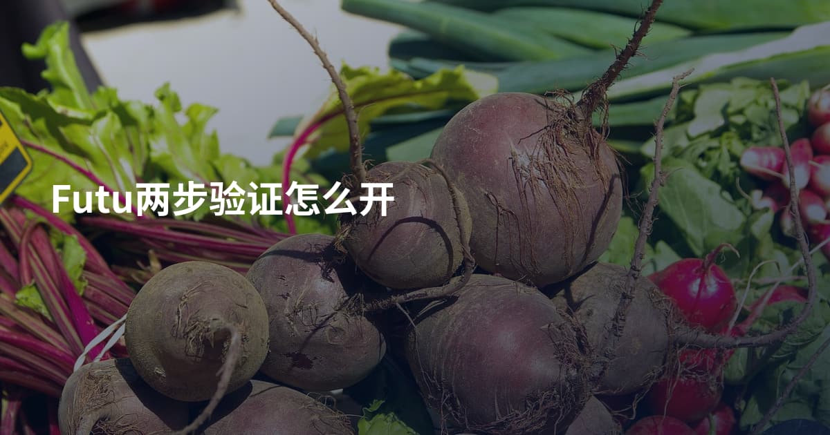 Futu两步验证怎么开