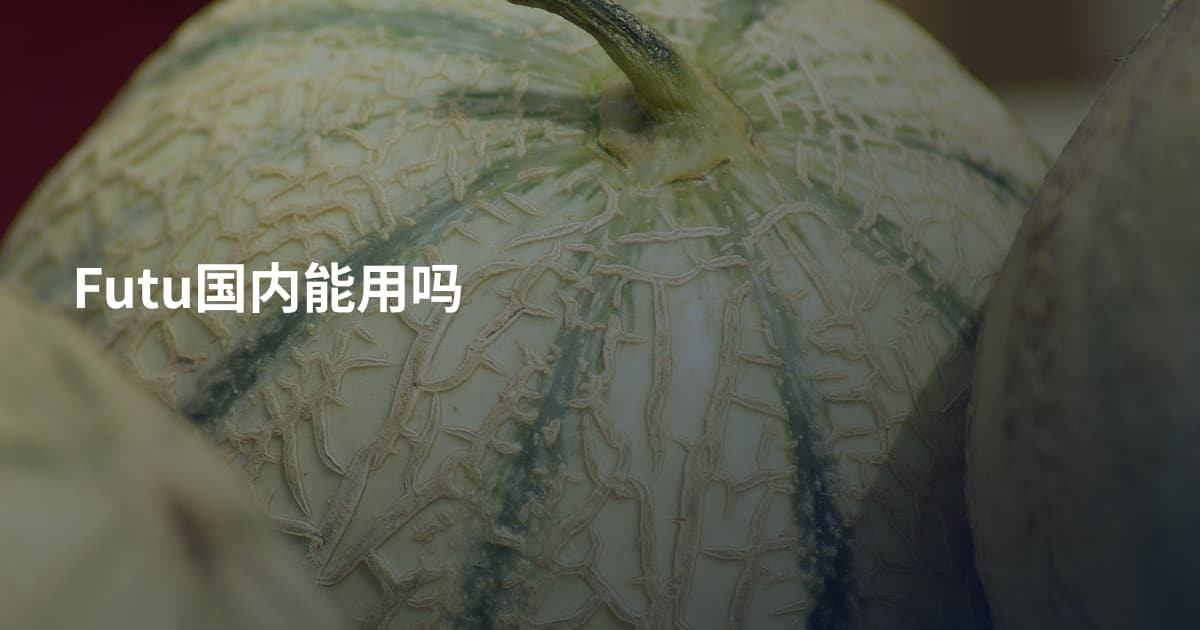 Futu国内能用吗