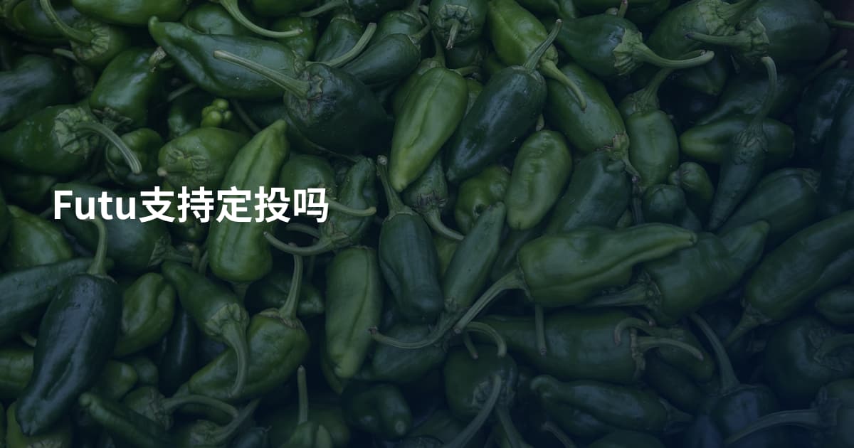 Futu支持定投吗