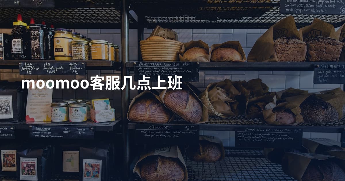 moomoo客服几点上班