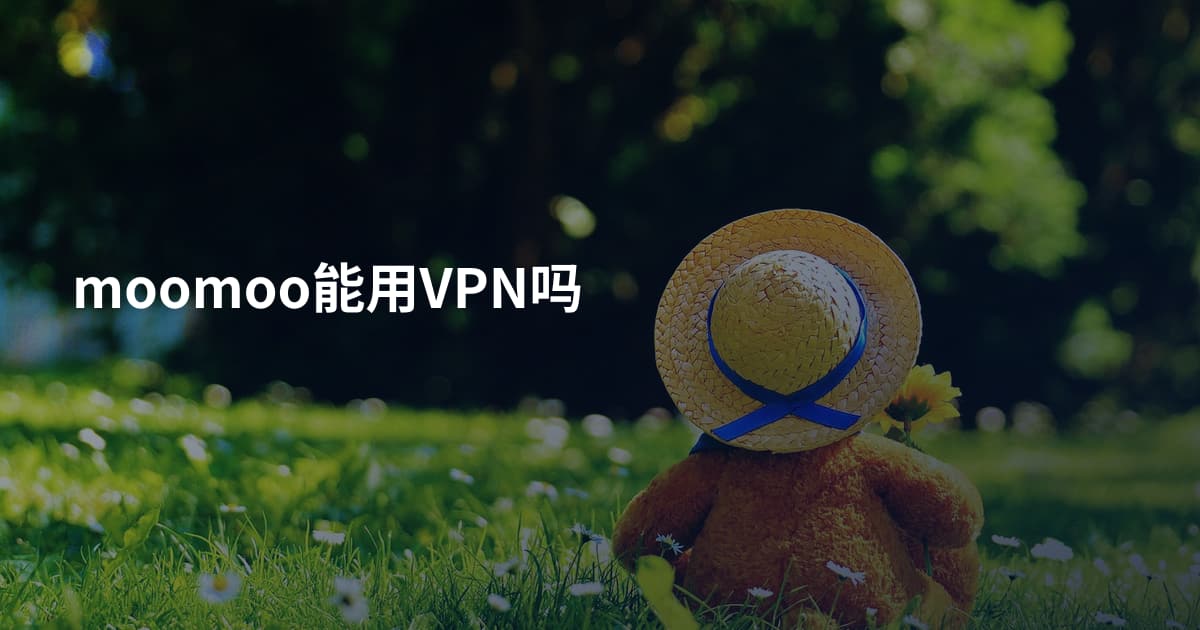 moomoo能用VPN吗
