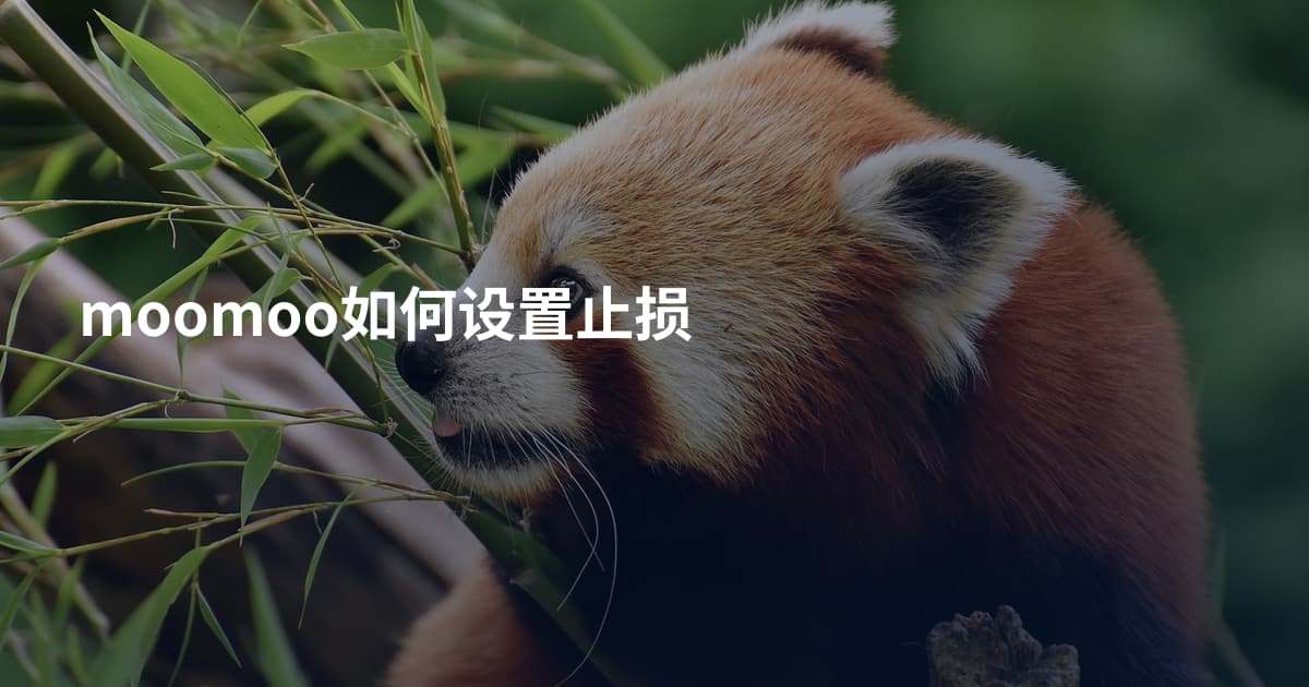 moomoo如何设置止损