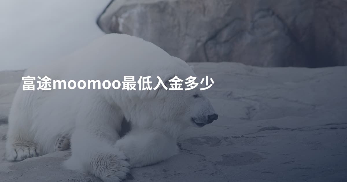 富途moomoo最低入金多少