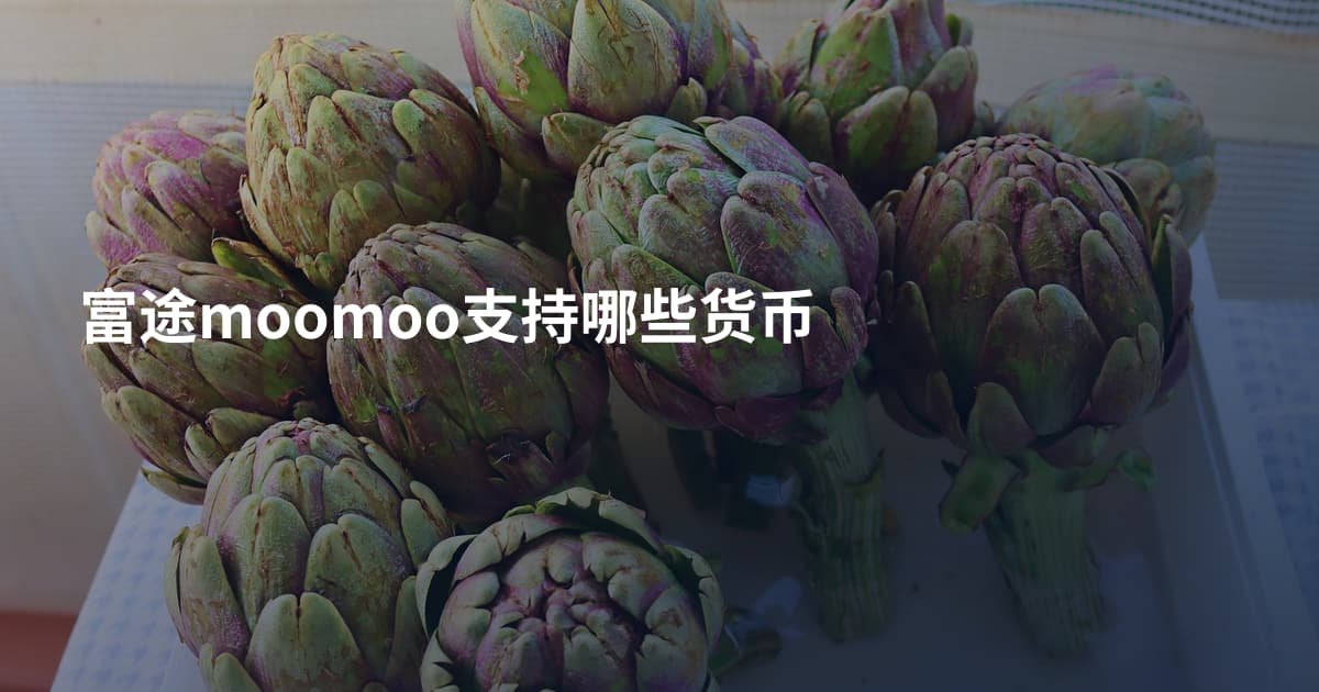 富途moomoo支持哪些货币
