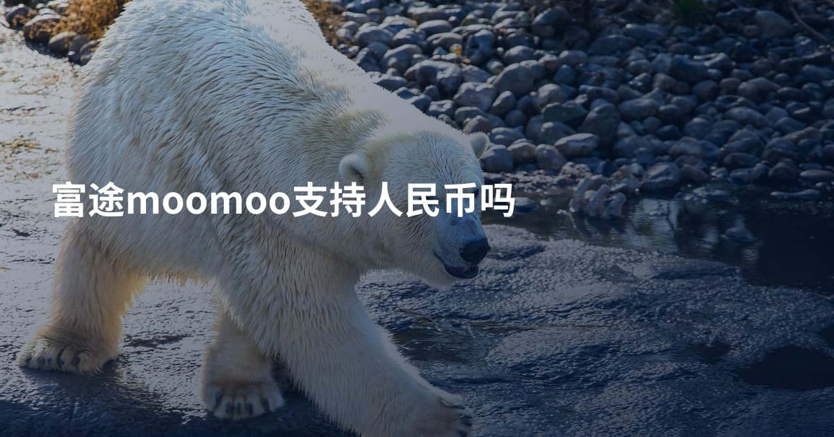 富途moomoo支持人民币吗