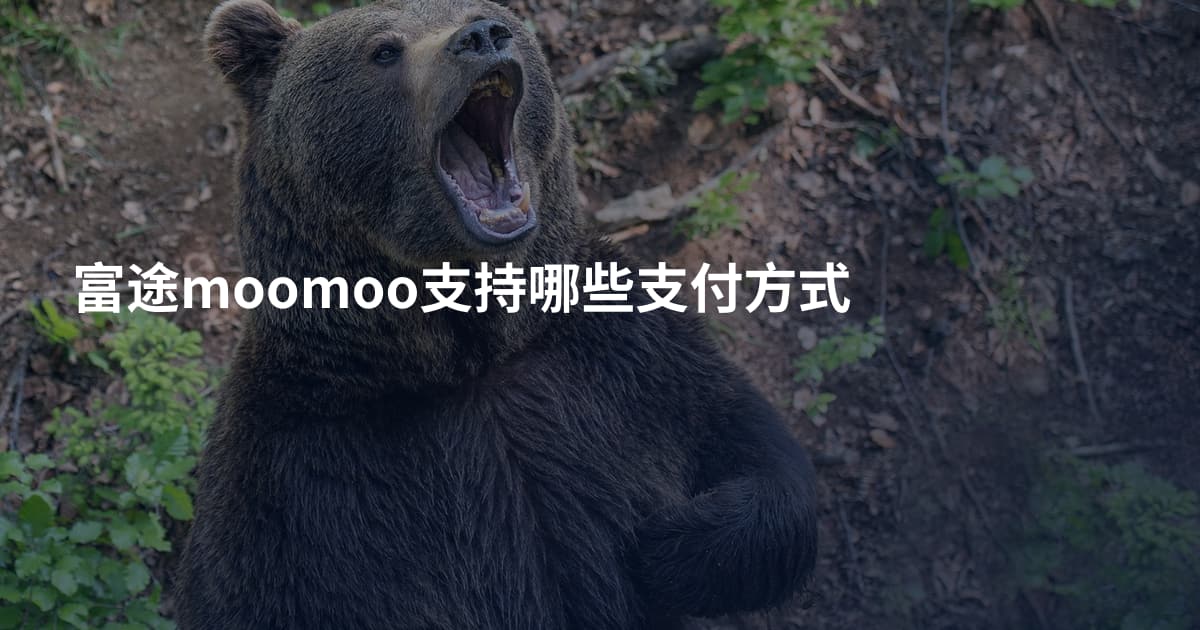 富途moomoo支持哪些支付方式