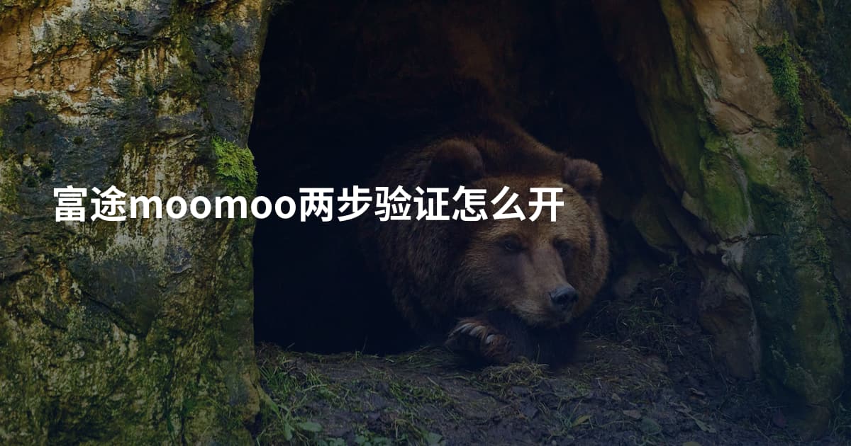 富途moomoo两步验证怎么开