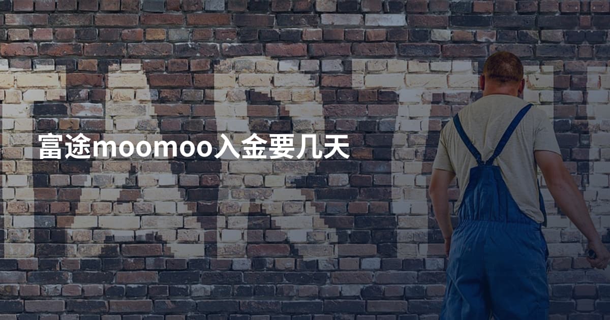 富途moomoo入金要几天