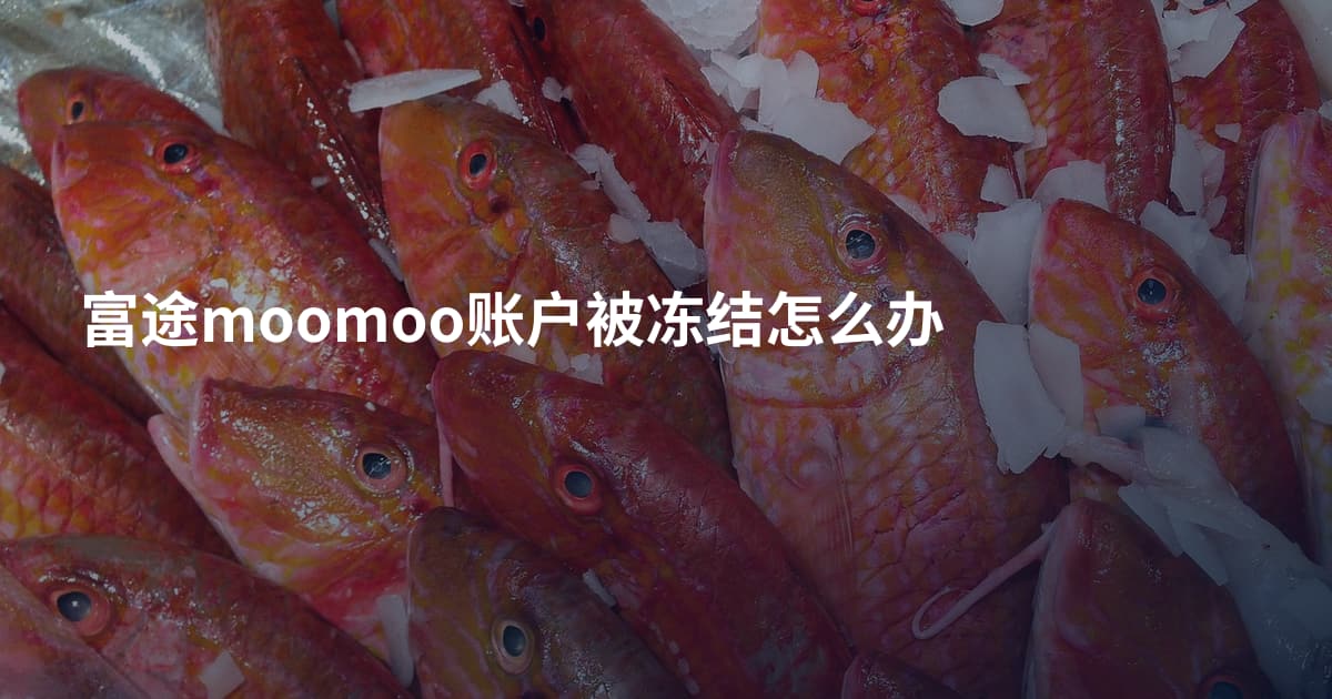 富途moomoo账户被冻结怎么办