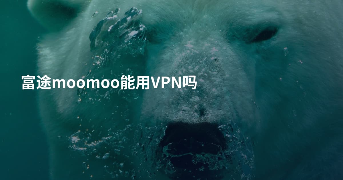 富途moomoo能用VPN吗