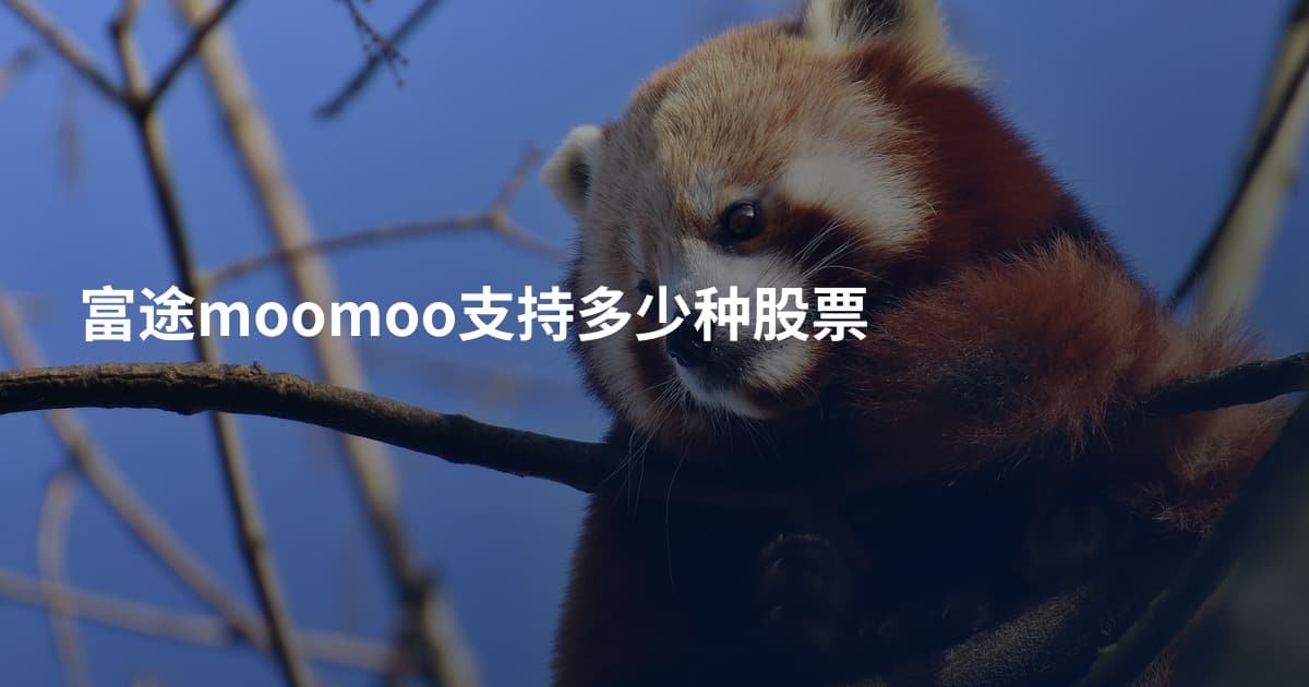 富途moomoo支持多少种股票