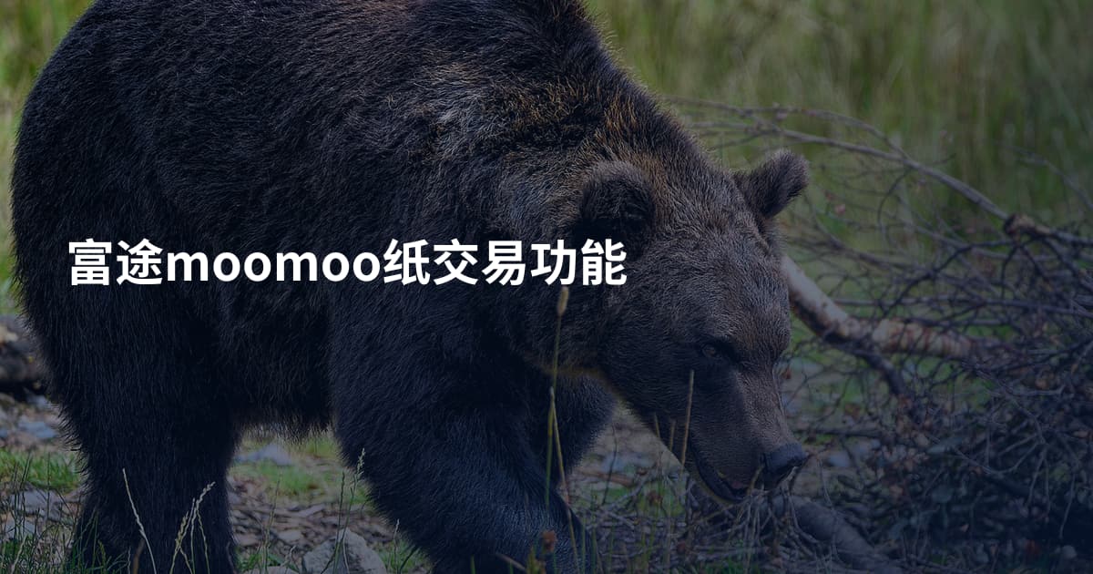 富途moomoo纸交易功能