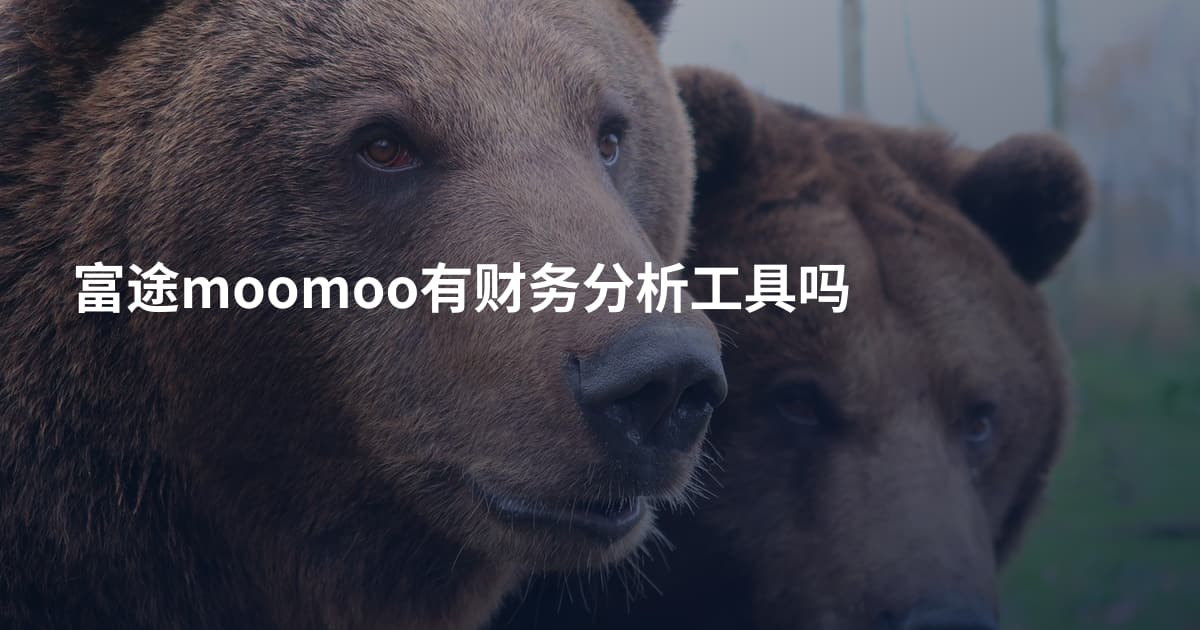 富途moomoo有财务分析工具吗