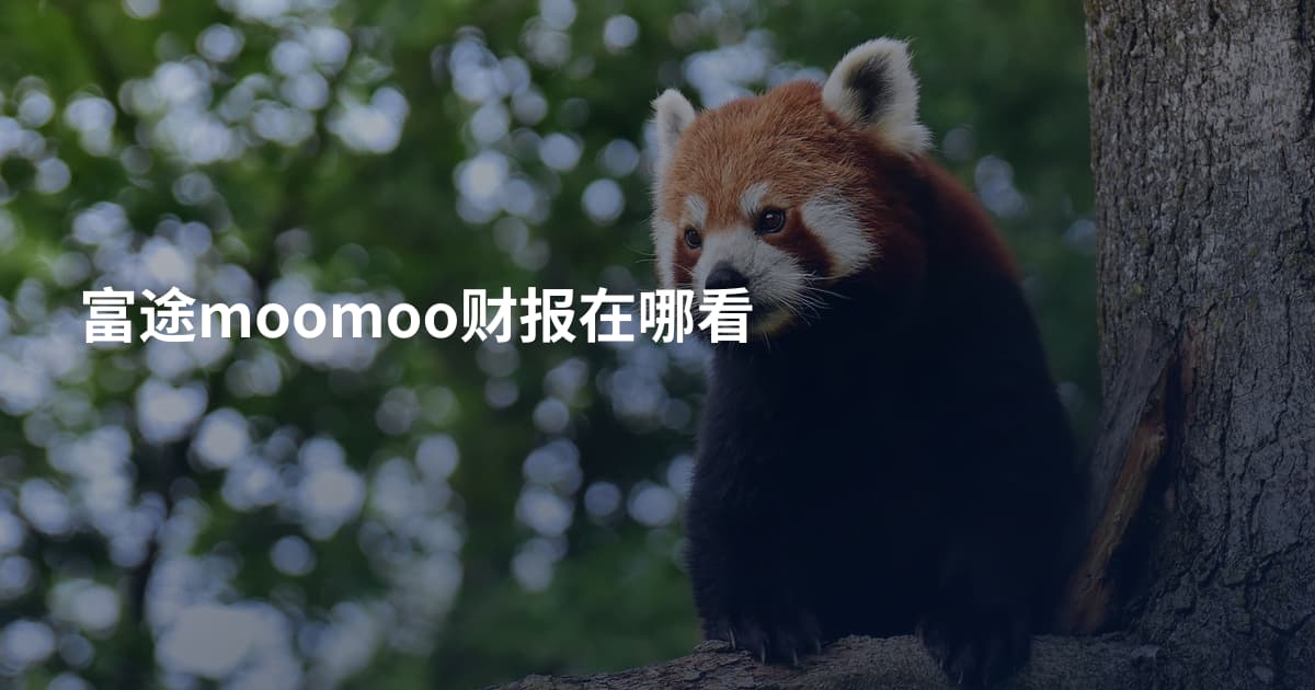 富途moomoo财报在哪看